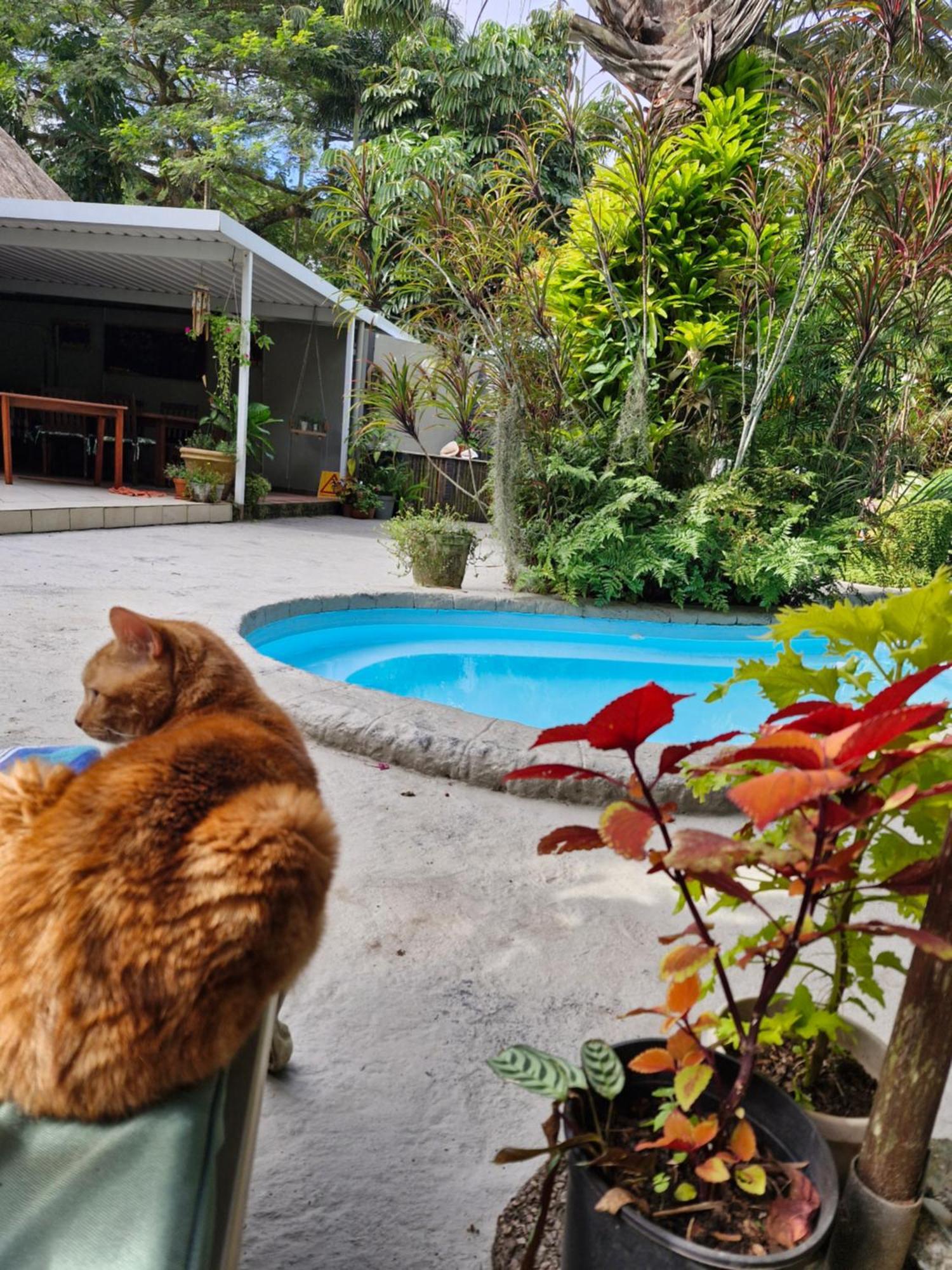 African Ambience Guest House St Lucia Bagian luar foto