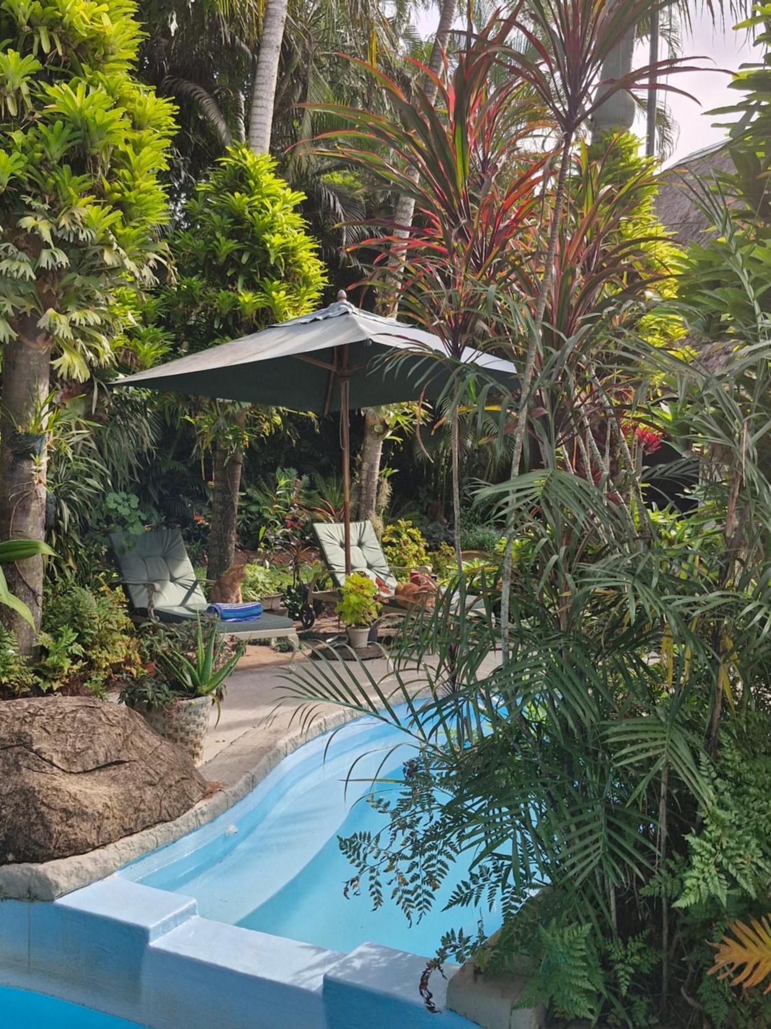 African Ambience Guest House St Lucia Bagian luar foto